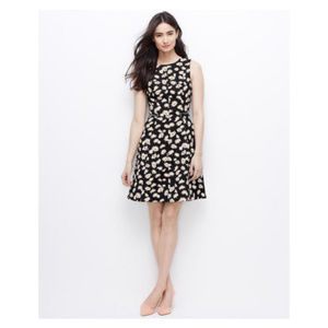 Ann Taylor Floral Sleeveless Fit and Flare Black Dress 6